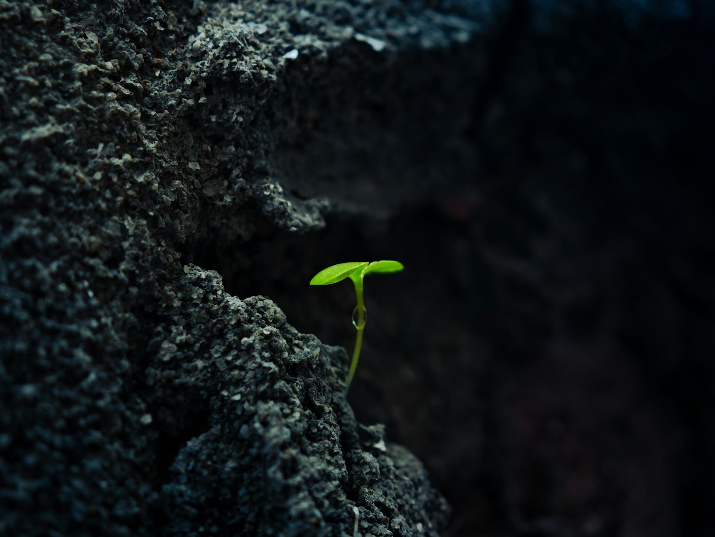 Exploring the Pathway to Inner Wisdom