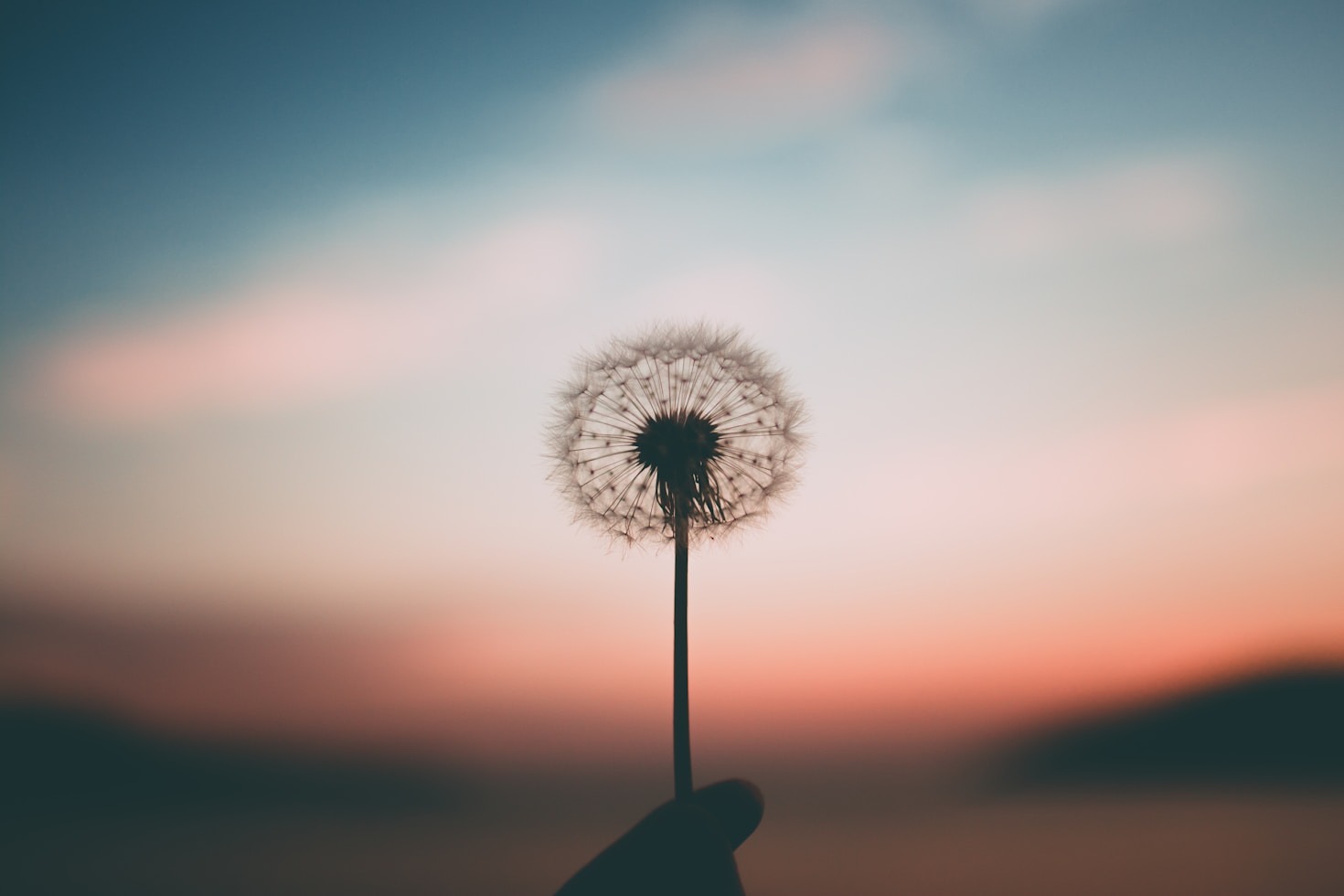 Unveiling Life’s Bliss Through Quiet Self
